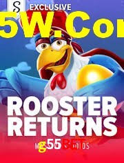 Sports Statistics g55bet